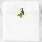 Baby Bluejay Stickers (Tasche)