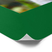 "Baby Blues" Koala Poster (Ecke)