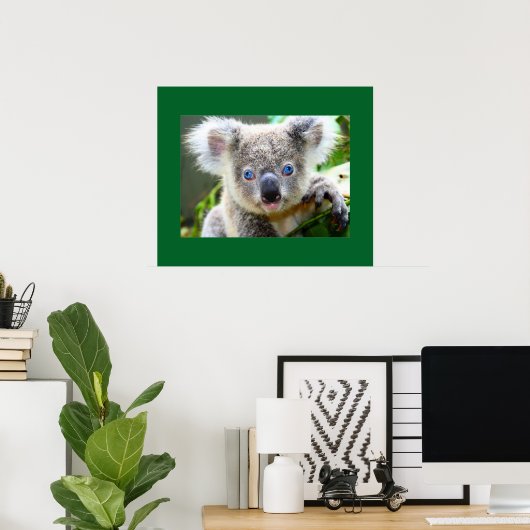 "Baby Blues" Koala Poster (Heimbüro)