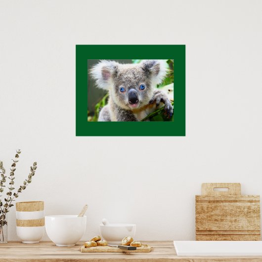 "Baby Blues" Koala Poster (Küche)