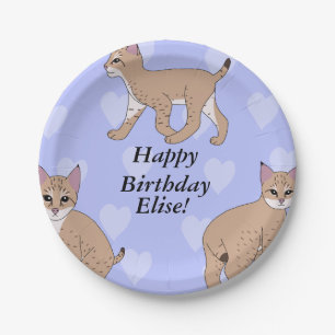 Baby Bobcats Birthday Pappteller