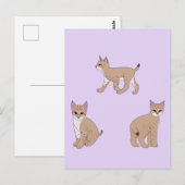 Baby Bobcats Postkarte (Vorne/Hinten)