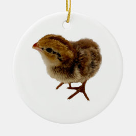 Baby Bobwhite Quail Keramik Ornament