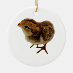 Baby Bobwhite Quail Keramik Ornament
