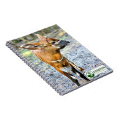 Baby Bongo Notizblock (Rechte Seite)