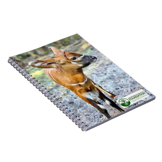 Baby Bongo Notizblock (Rechte Seite)