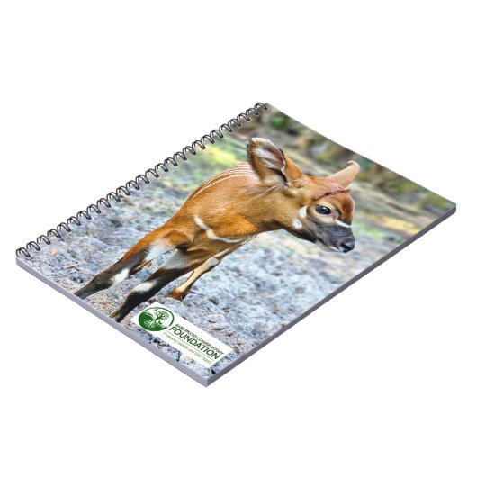 Baby Bongo Notizblock (Linke Seite)