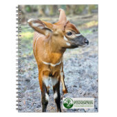 Baby Bongo Notizblock (Vorderseite)