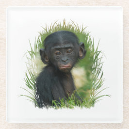 Baby Bonobo Ape Glasuntersetzer