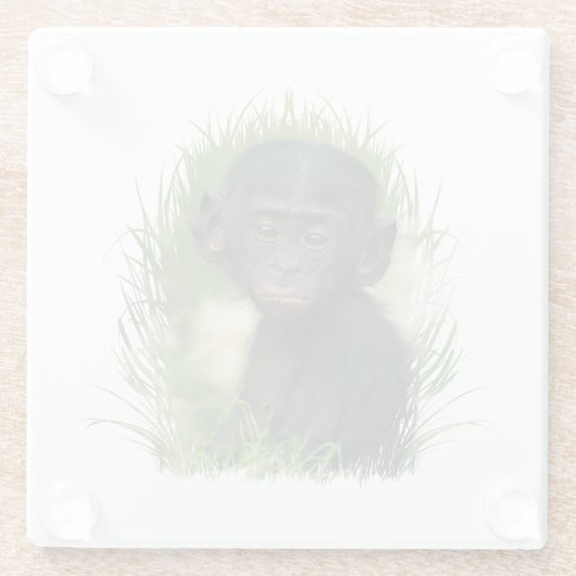 Baby Bonobo Ape Glasuntersetzer (Rückseite)