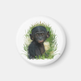 Baby Bonobo Ape Magnet