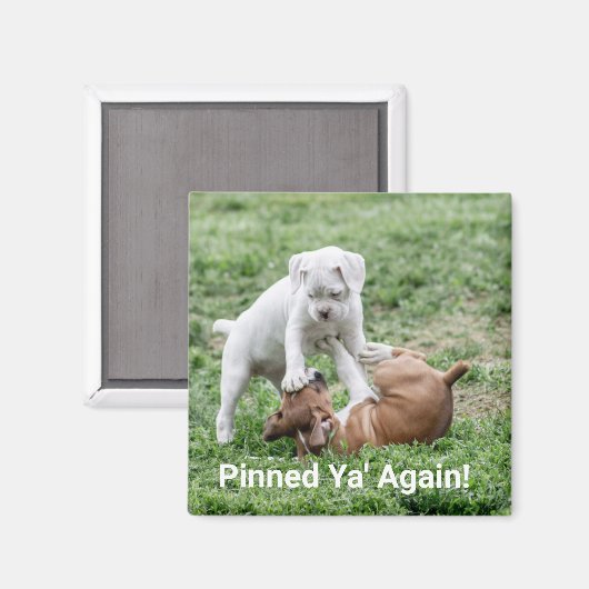 Baby Boxer Welppies Magnet (Vorderseite/Rückseite)