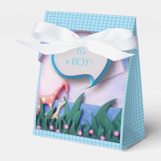 Baby Boy Birth Geschenkschachtel (Vorderseite)