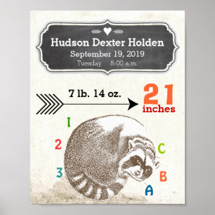 Baby Boy Birth Stats Niedlich Raccoon und Arrow Poster