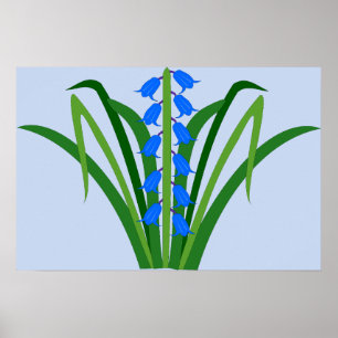Baby Boy Blauglocken Blumen Frühling Poster