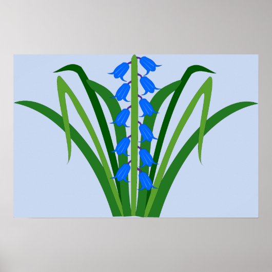 Baby Boy Blauglocken Blumen Frühling Poster (Vorne)