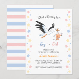 Baby Boy Girl Stork Gender Reveal Party Einladung