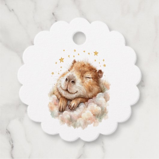 Baby Boy Shower • Cute Capybara Design Geschenkanhänger (Vorderseite)