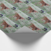 Baby Brown Cow. Geschenkpapier (Ecke)