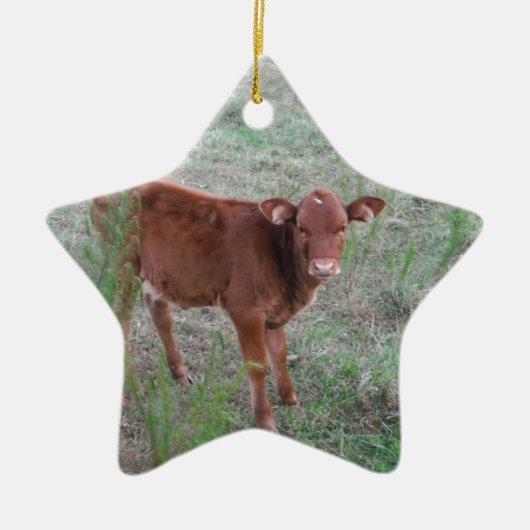 Baby Brown Cow. Keramik Ornament (Vorne)