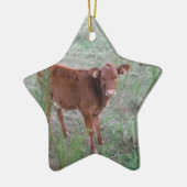 Baby Brown Cow. Keramik Ornament (Links)