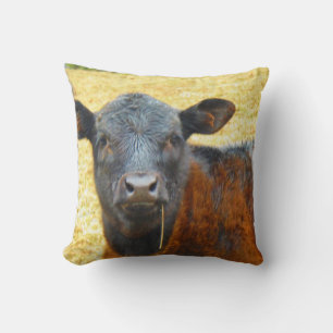 Baby Brown und Black Cow Kissen