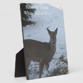 Baby Buck Weißschwanz Hirschschschnee EASEL Fotoplatte (Seite)