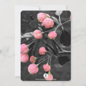 BABY BUD FOTO BABY MÄDCHEN EINLADUNG (Rückseite)