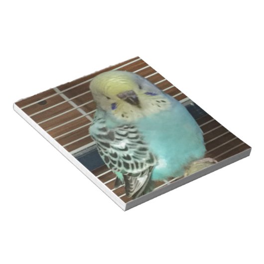 Baby Budgie Notizblock (angewinkelt)