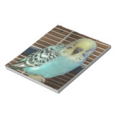 Baby Budgie Notizblock (Rotiert)