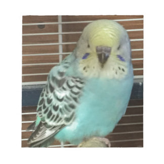 Baby Budgie Notizblock
