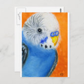 Baby Budgie Postkarte (Vorne/Hinten)