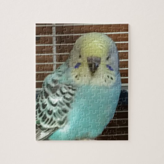 Baby budgie puzzle (Vertikal)