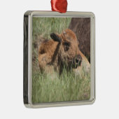 Baby-Büffel-Verzierung Silbernes Ornament (Rechts)