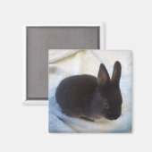 Baby Bun Magnet - Little Magoo (Vorderseite/Rückseite)