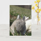 Baby Bunnies Karte (Gelbe Blume)
