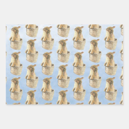 Baby Bunnies Play Time Geschenkpapier Set (Vorderseite 2)