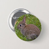 Baby Bunny Abzeichen Button (Vorne & Hinten)