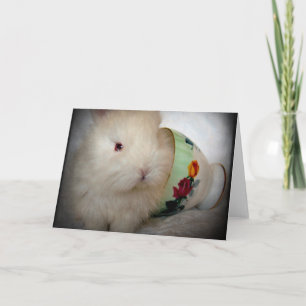 Baby-Bunny für alle Anlässe Karte