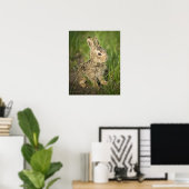 Baby Bunny im Gras Poster (Heimbüro)