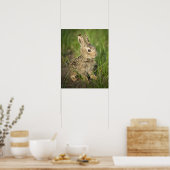 Baby Bunny im Gras Poster (Küche)