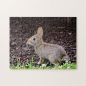 Baby Bunny Jigsaw Puzzle (Horizontal)