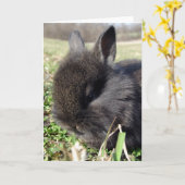 Baby Bunny Karte (Gelbe Blume)