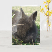 Baby Bunny Karte (Gelbe Blume)