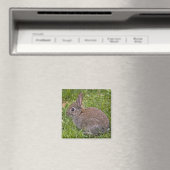 Baby Bunny Magnet (In Situ (Geschirrspüler))