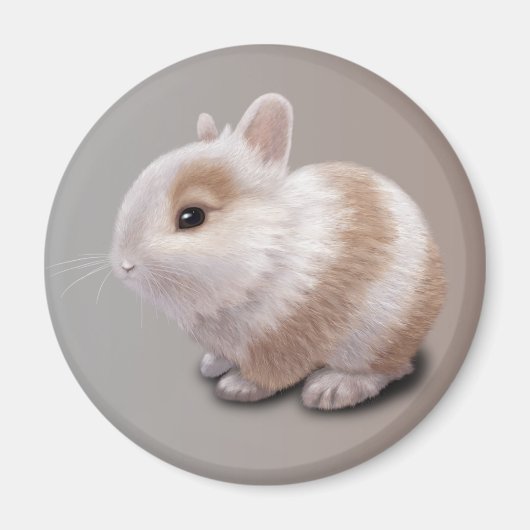Baby Bunny Magnet (Vorne)