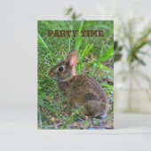 Baby Bunny Party Einladung (Stehend Vorderseite)