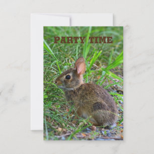 Baby Bunny Party Einladung