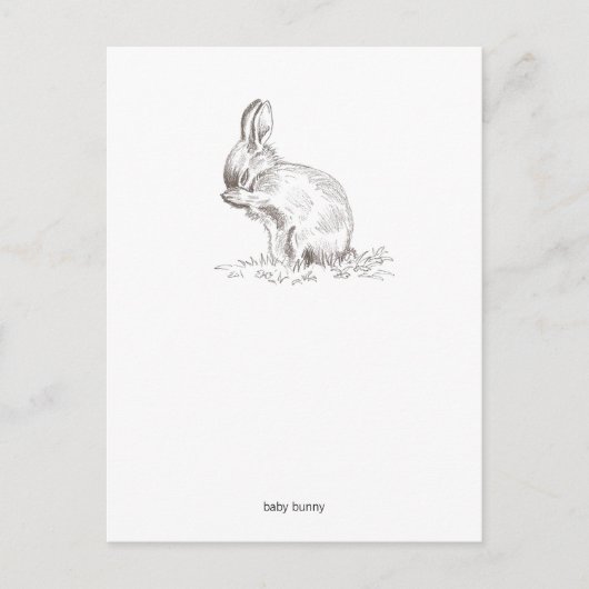 Baby Bunny Postcard Postkarte (Vorderseite)
