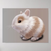 Baby Bunny Poster (Vorne)